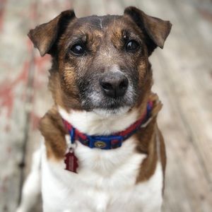 Meet your Posher, Claudio